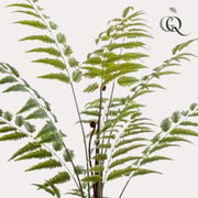 Rumohra Adiantiformis Kunstplant (Ledervaren)