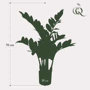 Zamioculcas Kunstplant (ZZ Plant)