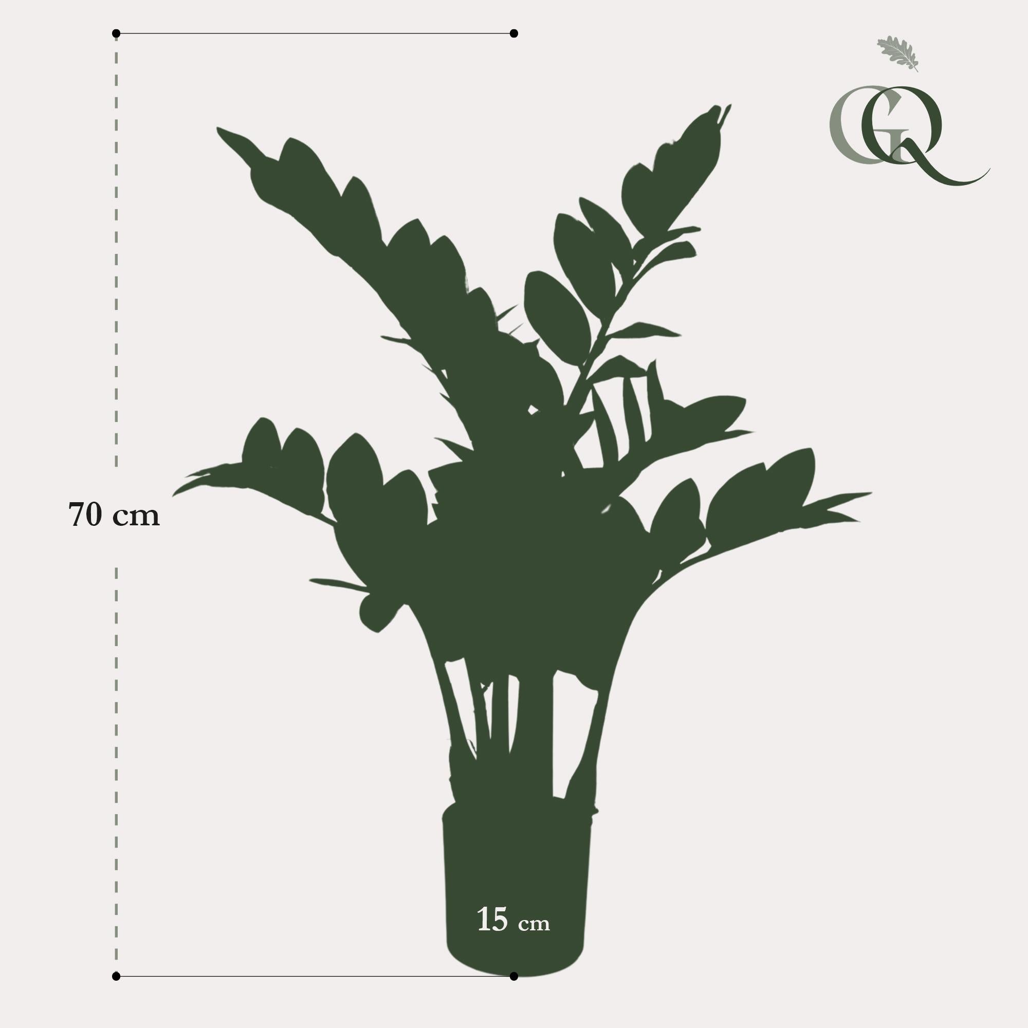 Zamioculcas Kunstplant (ZZ Plant)
