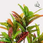 Croton Codiaeum Kunstplant (Wonderstruik) Everspring