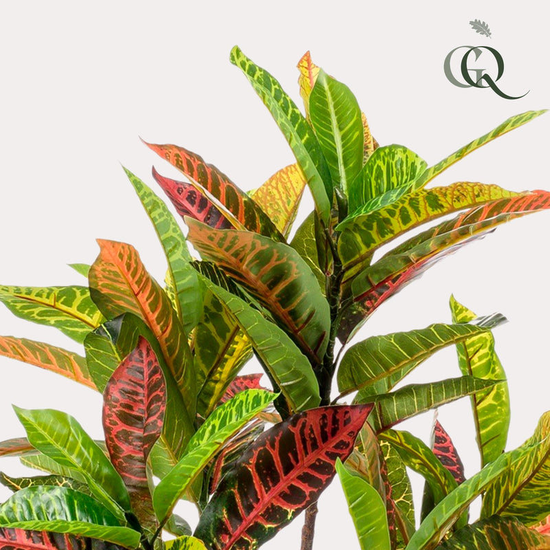 Croton Codiaeum Kunstplant (Wonderstruik)