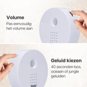 Melodiez music box - Wit Everspring