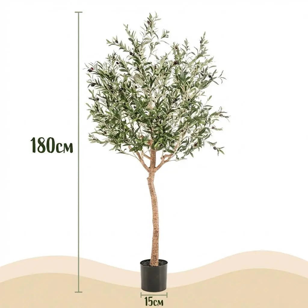 Kunst Olijfboom (Olea europaea) Everspring
