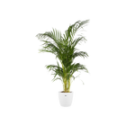 Pot elho Brussels Round Wit