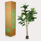 Ficus Lyrata Kunstplant (Tabaksplant) Everspring