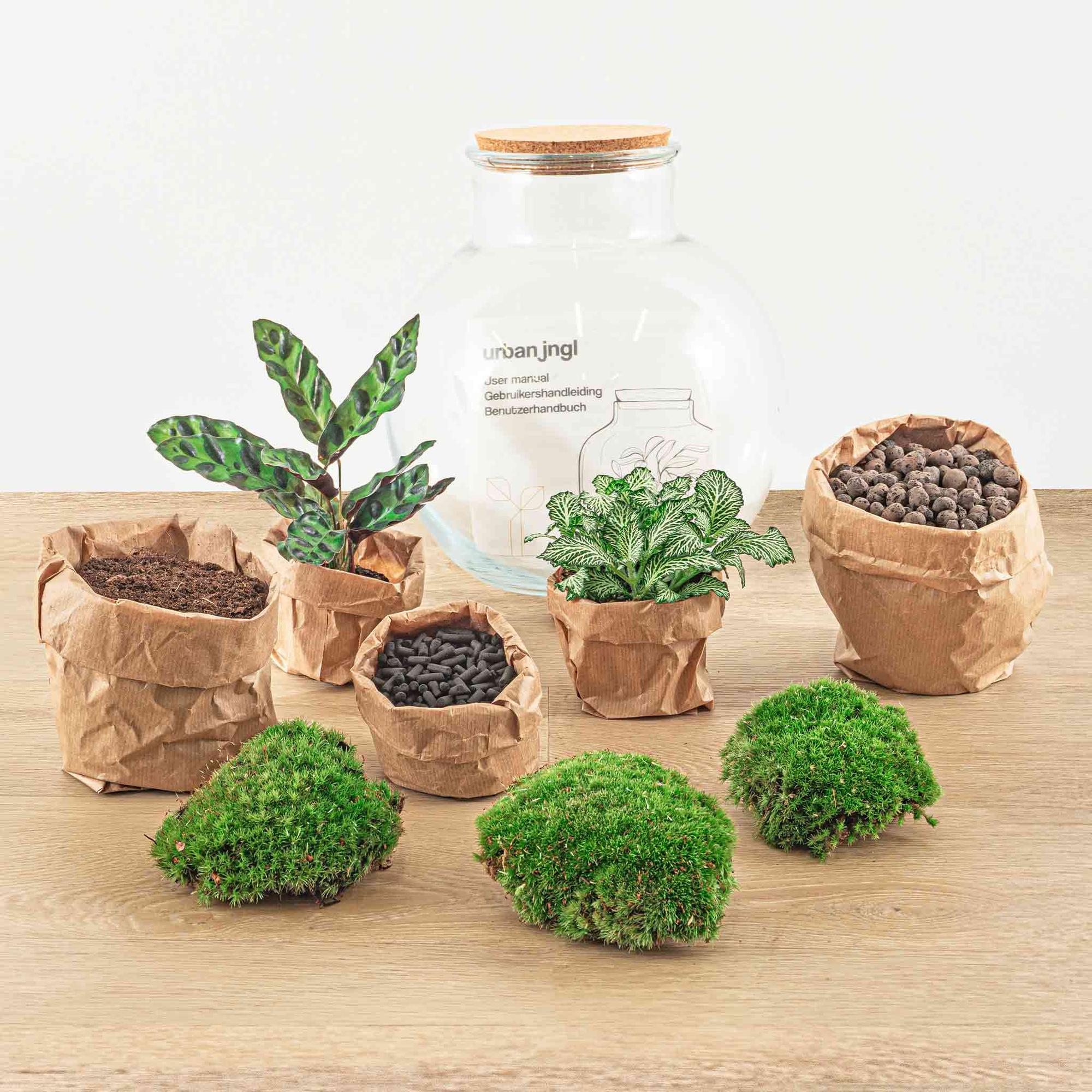 Teddy Terrarium