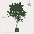 Croton Codiaeum Kunstplant (Wonderstruik) Everspring