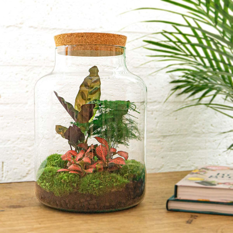 Milky Terrarium