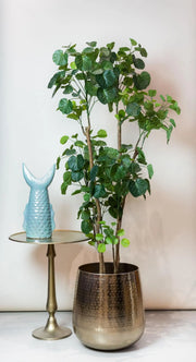 Polyscias Kunstplant (Aralia) Everspring