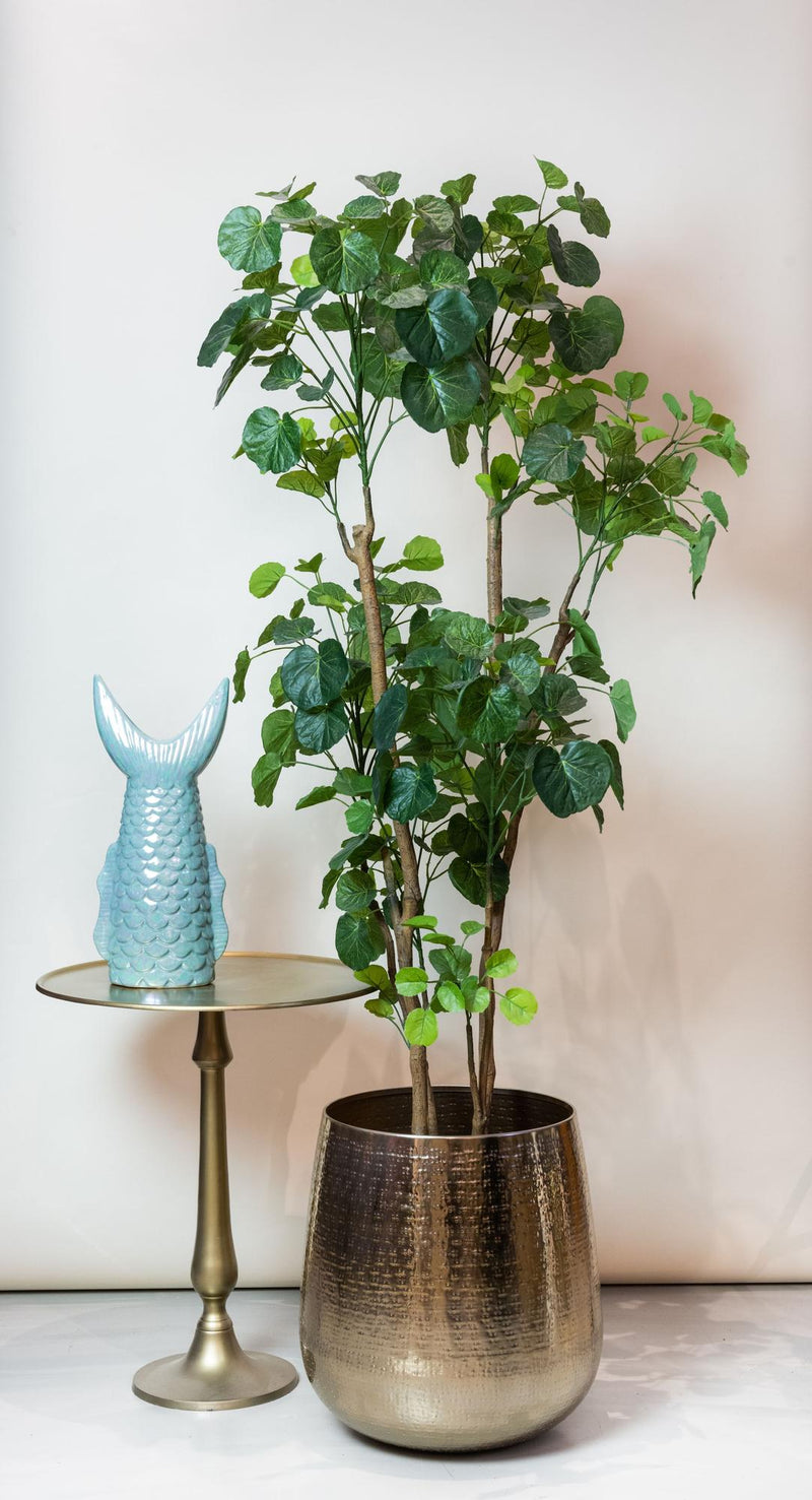 Polyscias Kunstplant (Aralia)