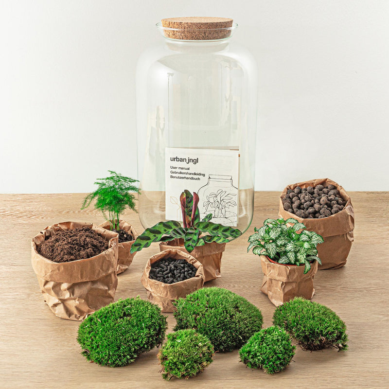 Botanical Sven XL - Terrarium