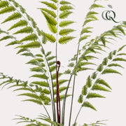 Rumohra Adiantiformis Kunstplant (Ledervaren)