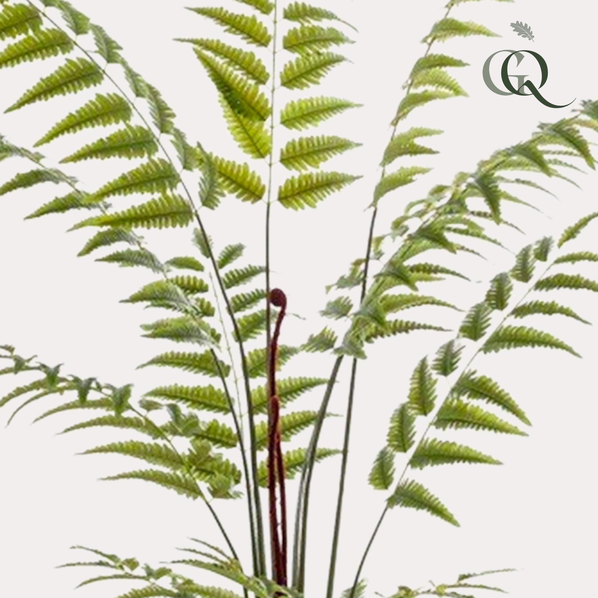 Rumohra Adiantiformis Kunstplant (Ledervaren)