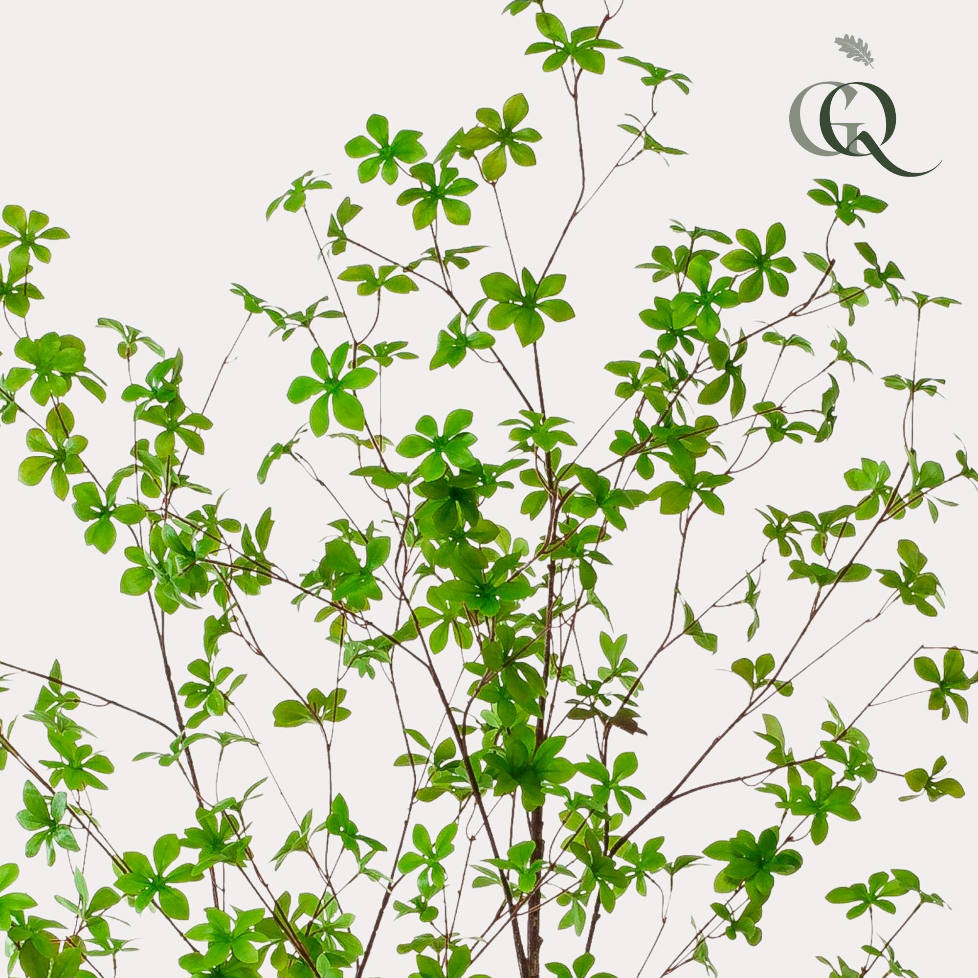 Tropaeolum Speciosum Kunstplant (Oost-Indische Kers)