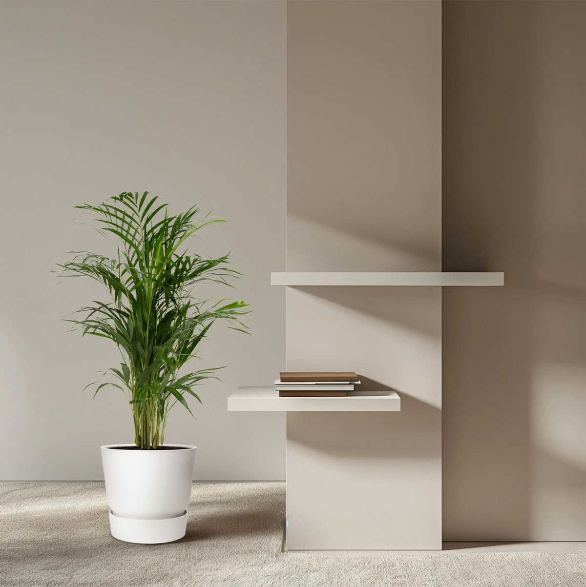Areca palm - Ø19cm - ↕85cm Everspring