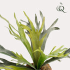 Staghorn Fern Kunstplant (Hertshoorn)
