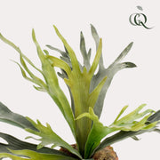 Staghorn Fern Kunstplant (Hertshoorn)