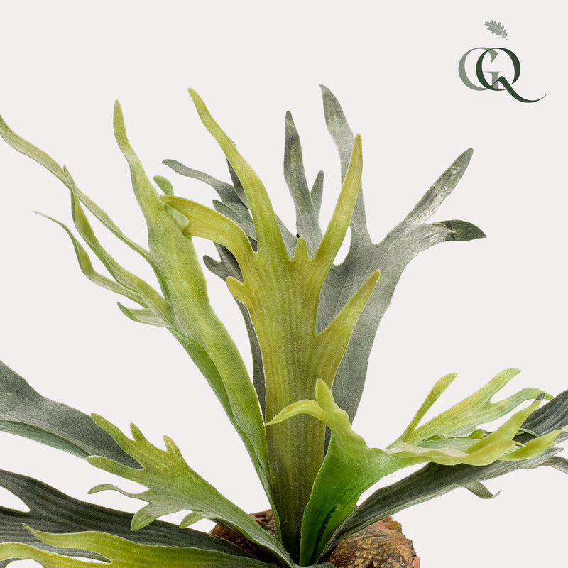 Staghorn Fern Kunstplant (Hertshoorn)