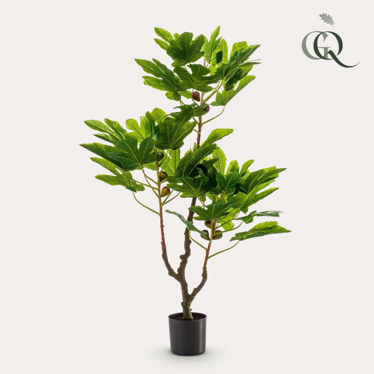 Ficus Carica Kunstplant (Vijgenboom) Everspring