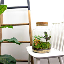 Milky Terrarium
