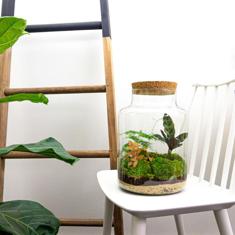 Milky Terrarium