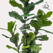 Ficus Lyrata Kunstplant (Vioolbladplant)