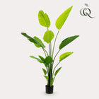 Strelitzia Nicolai Kunstplant (Paradijsvogelbloem)