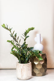 Zamioculcas Kunstplant (Kamerpalm)
