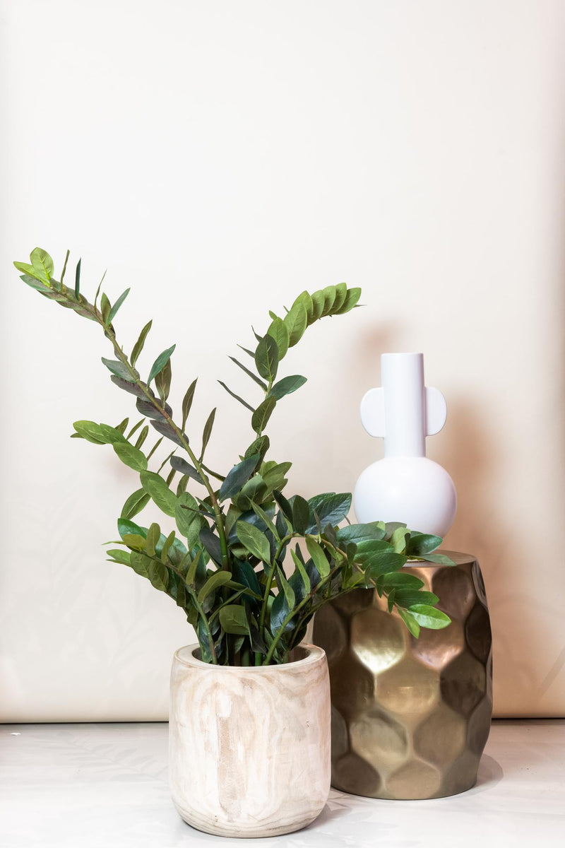Zamioculcas Kunstplant (Kamerpalm)