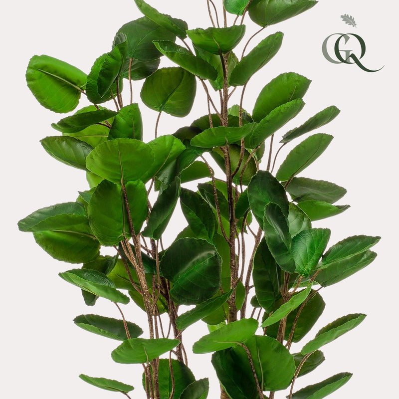 Polyscias kunstplant (Aralia)