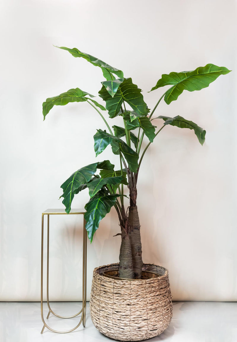 Alocasia kunstplant (Olifantsoor)