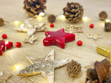 Christmas Terrarium Decoration Kit