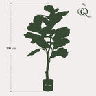 Ficus Lyrata Kunstplant (Tabaksplant)