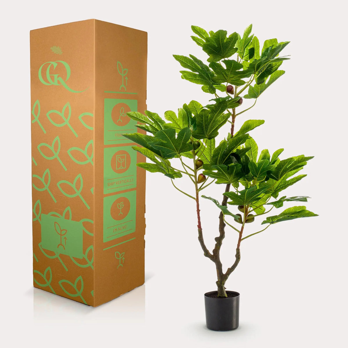 Ficus Carica Kunstplant (Vijgenboom) Everspring