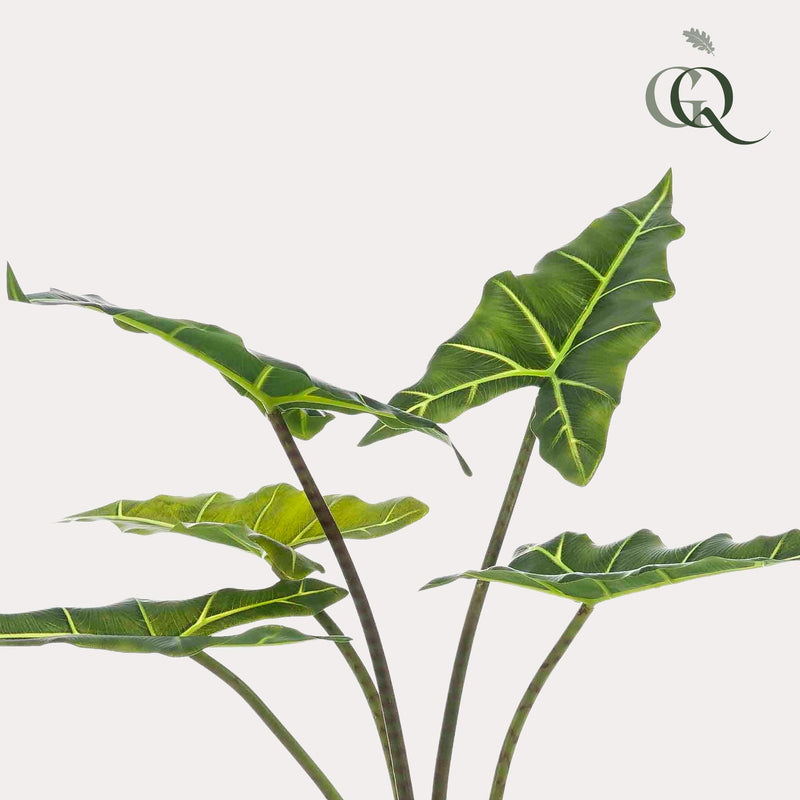 Alocasia Frydek Kunstplant (Olifantsoor)