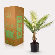 Chamaedorea Kunstplant (Bergpalm)