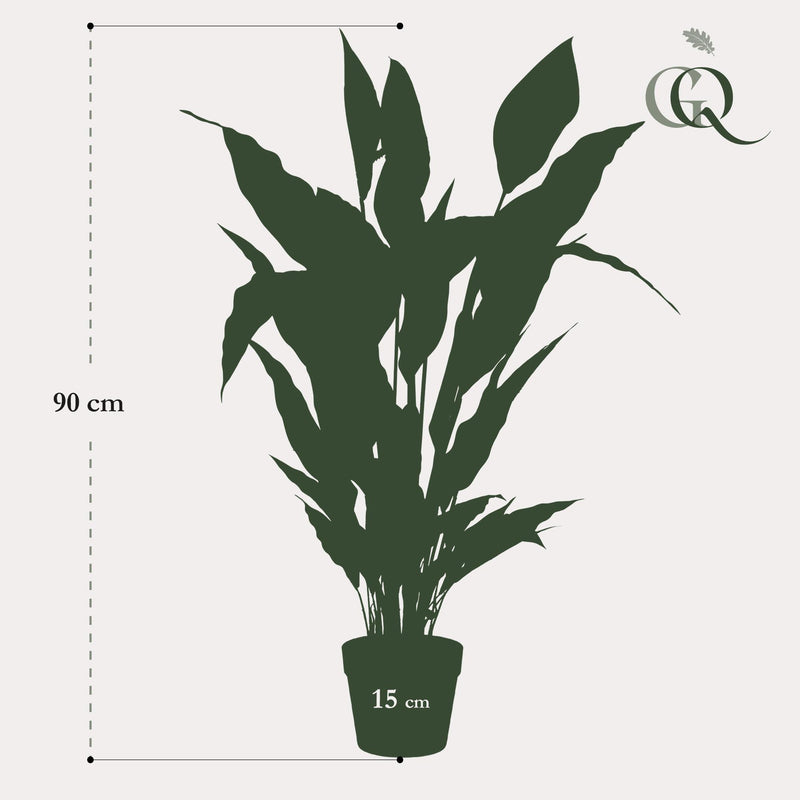 Spathiphyllum Kunstplant (Lepelplant)