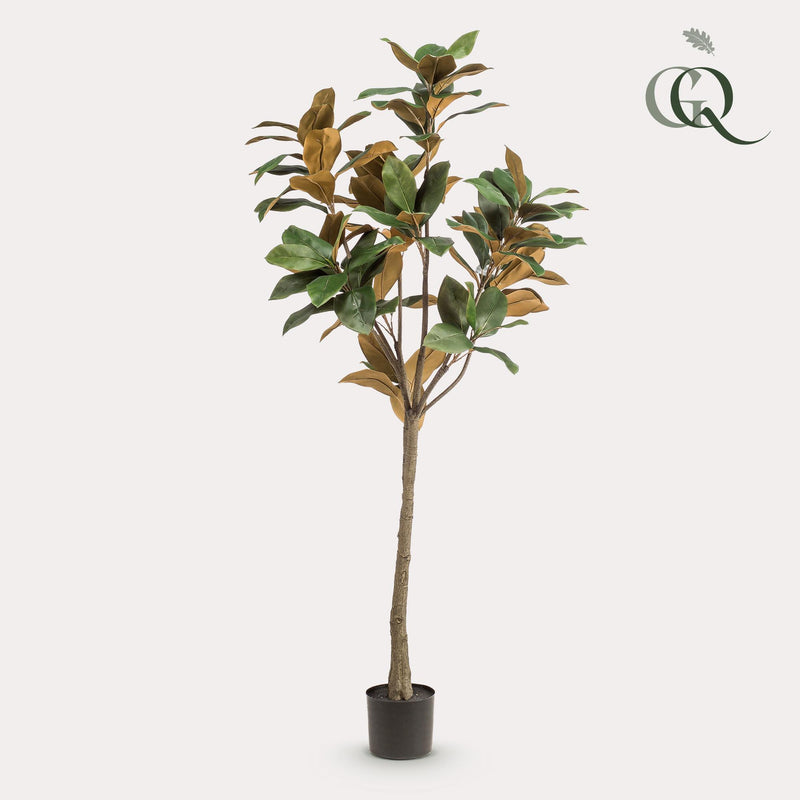 Magnolia Grandiflora Kunstplant