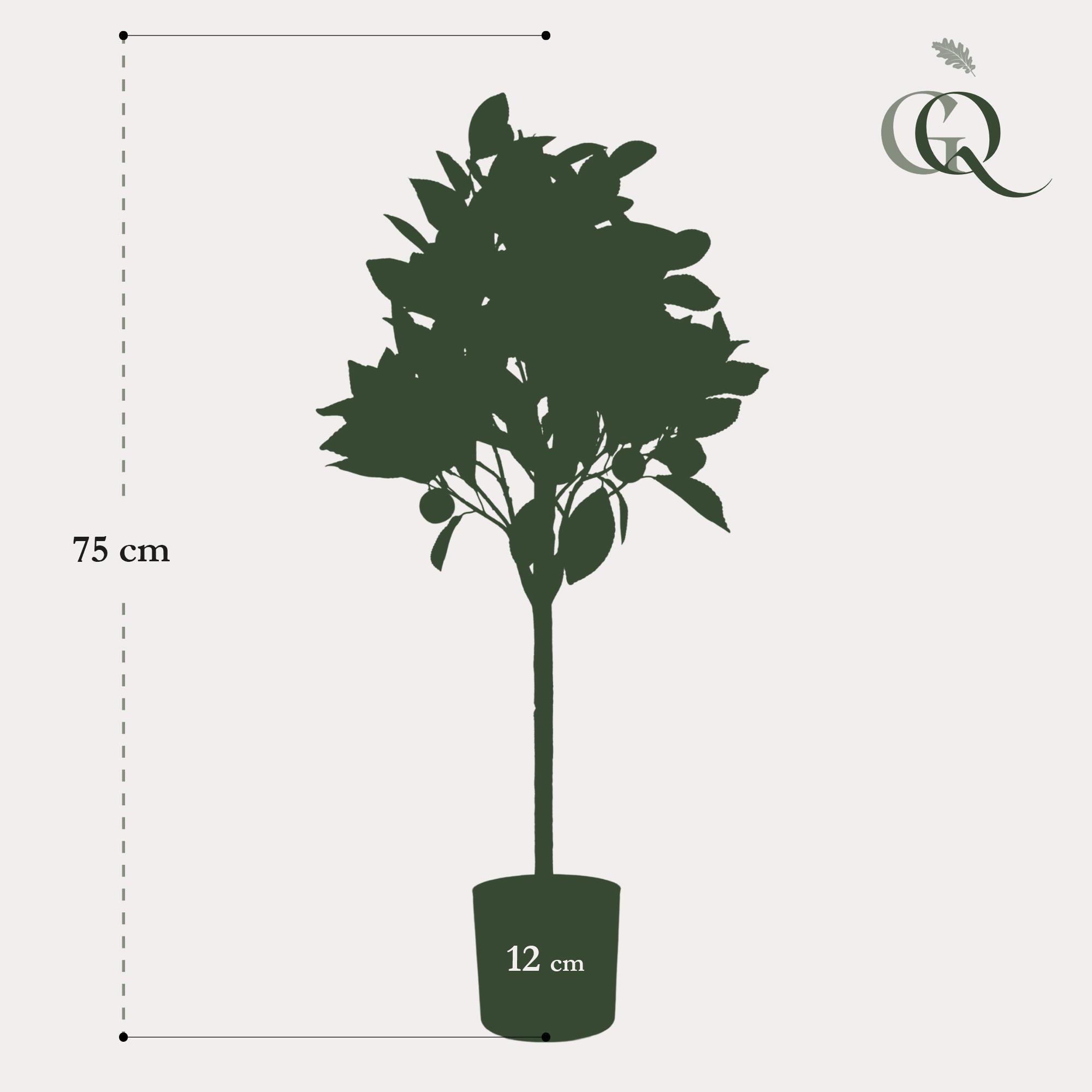 Citrus Sinensis Kunstplant (Sinaasappelboom)