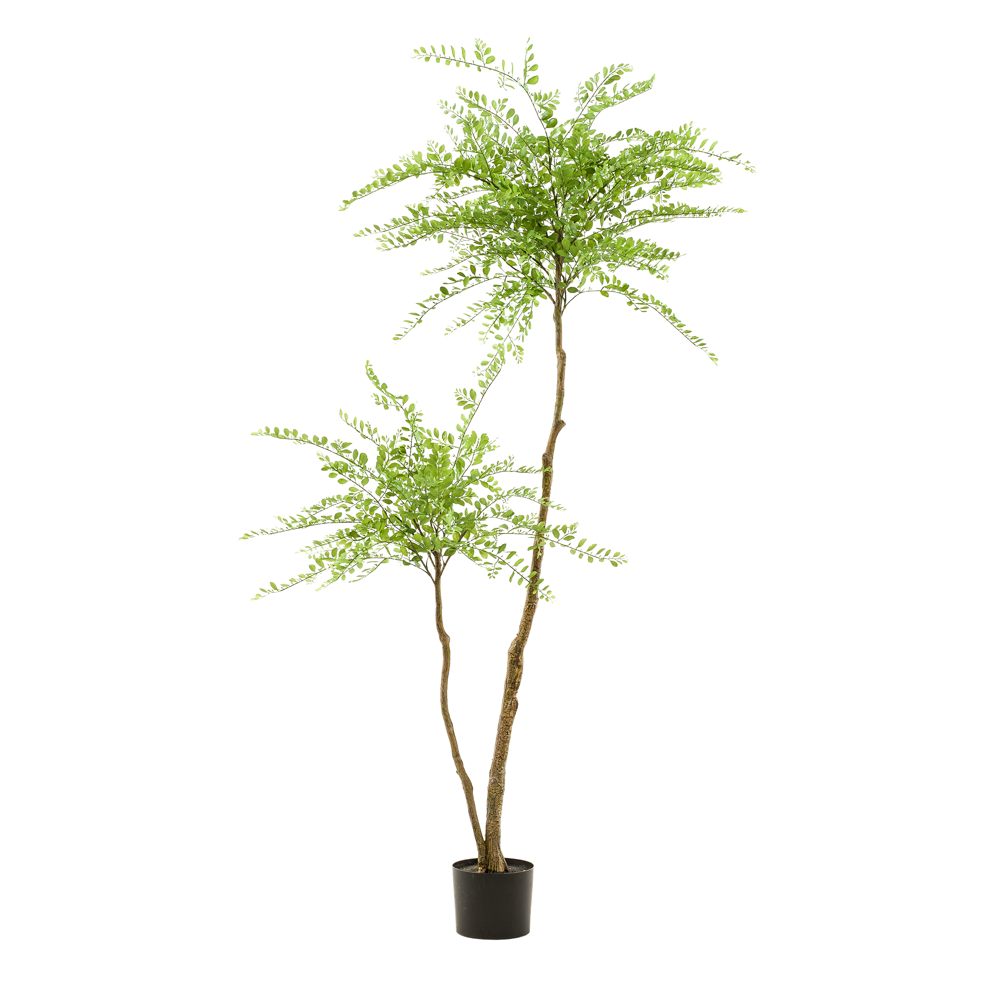 Sophora Tree Kunstplant (Honingboom)