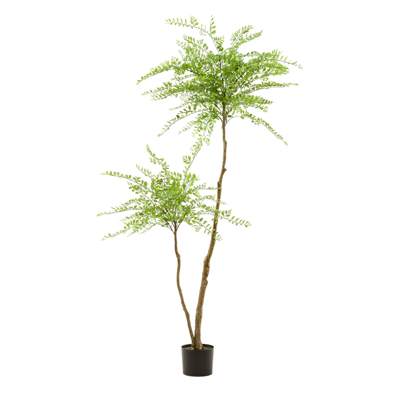Sophora Tree Kunstplant (Honingboom)