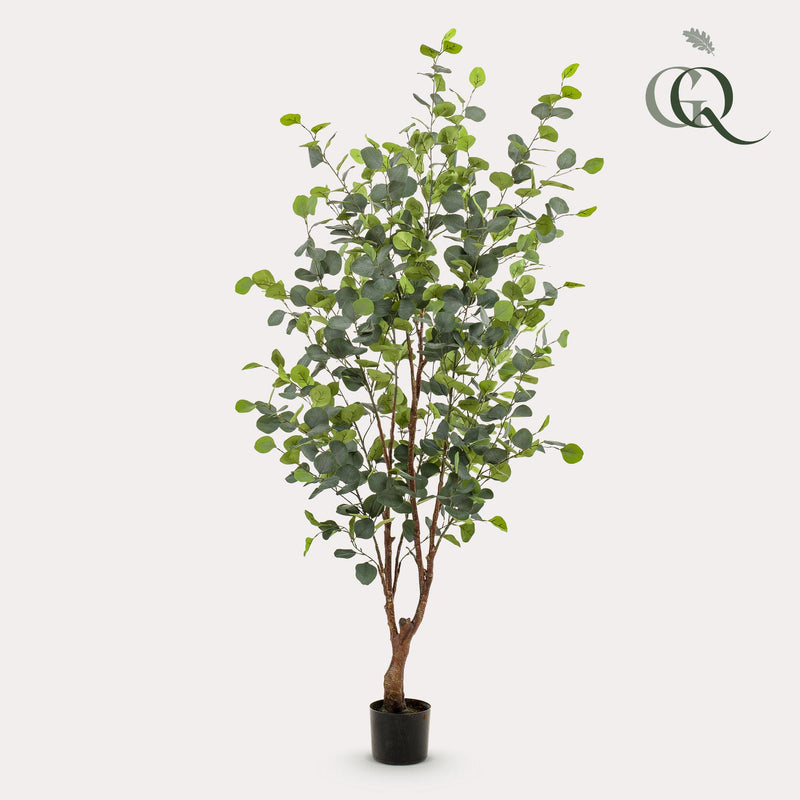 Eucalyptus Kunstplant (Blauwe Gomboom)