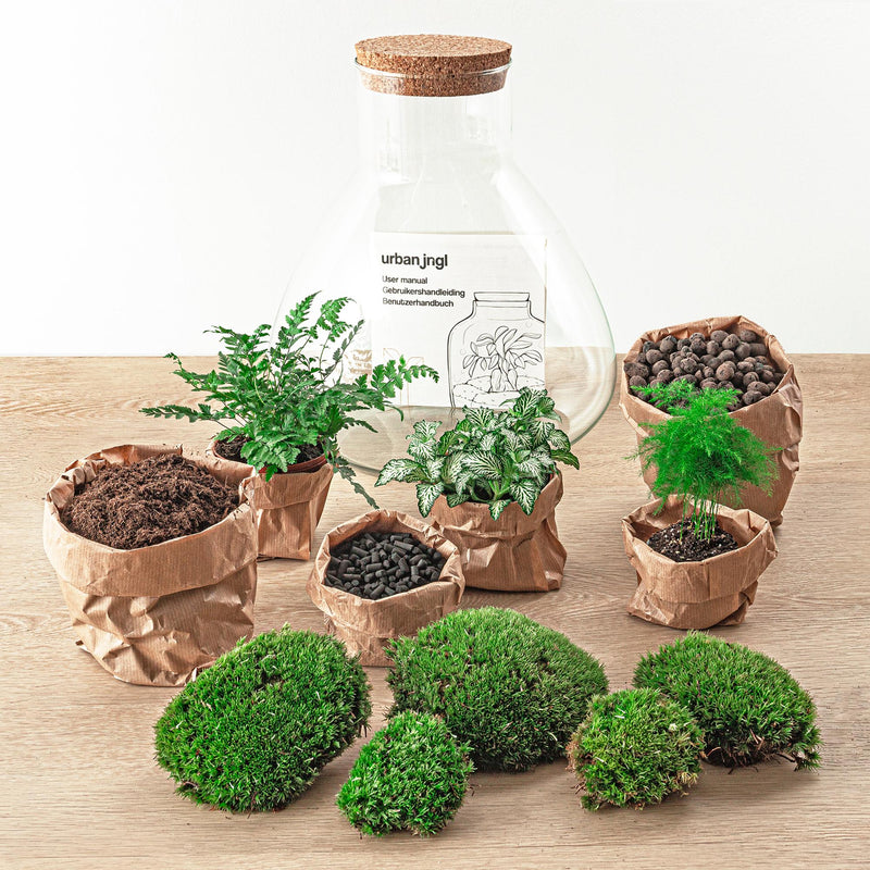 Sam XL Terrarium