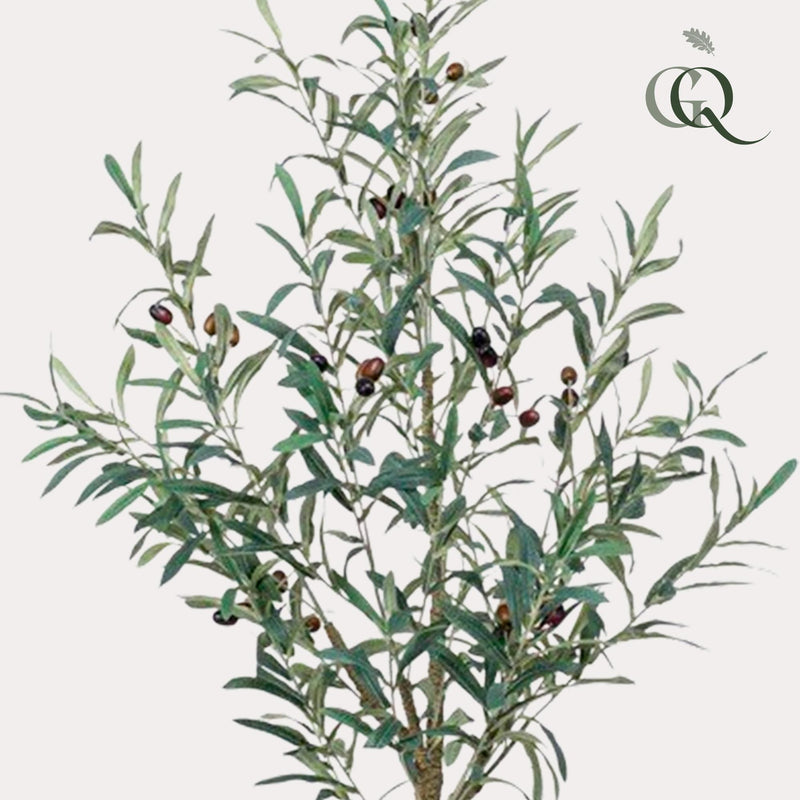 Kunst Olijfboom (Olea europaea)
