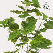 Ficus Umbellata Kunstplant (Afrikaanse Vijg)