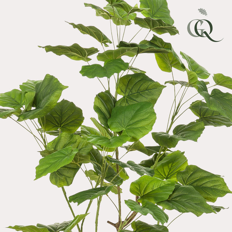 Ficus Umbellata Kunstplant (Afrikaanse Vijg)