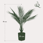 Chamaedorea Kunstplant (Bergpalm)