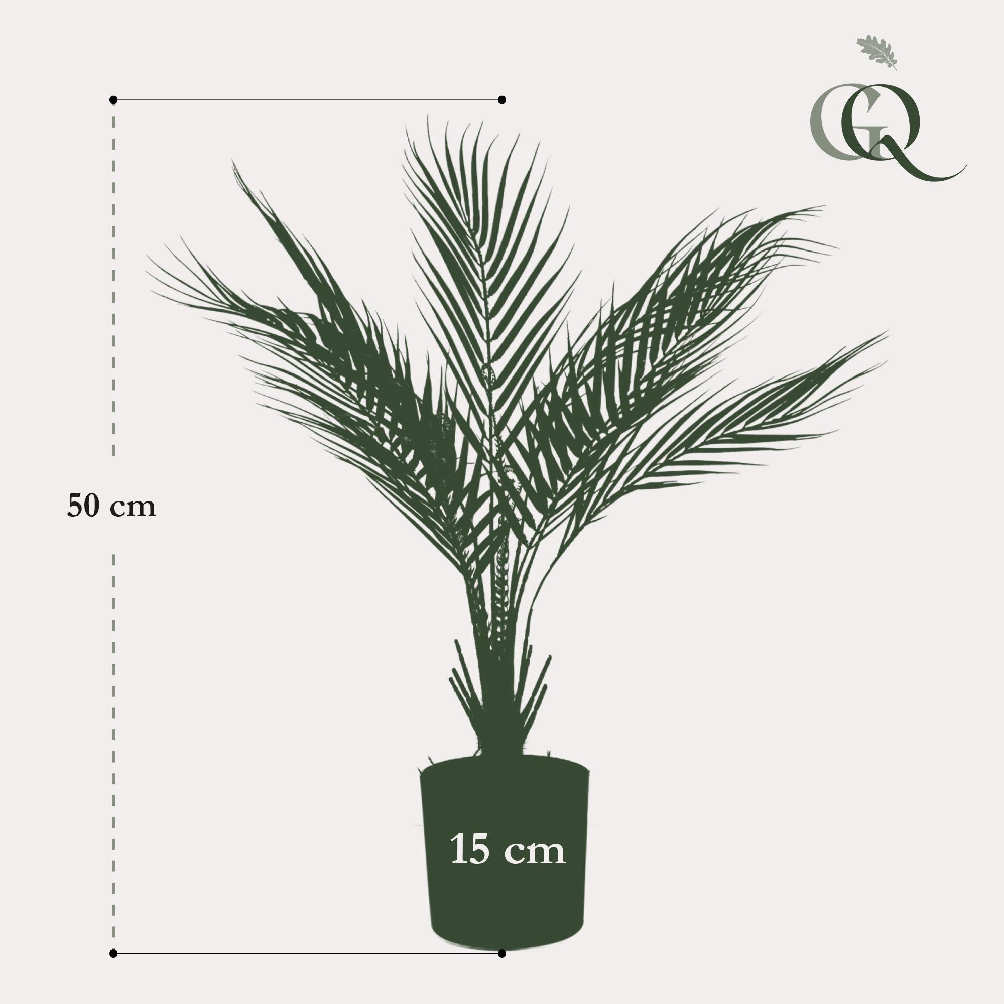 Chamaedorea Kunstplant (Bergpalm)