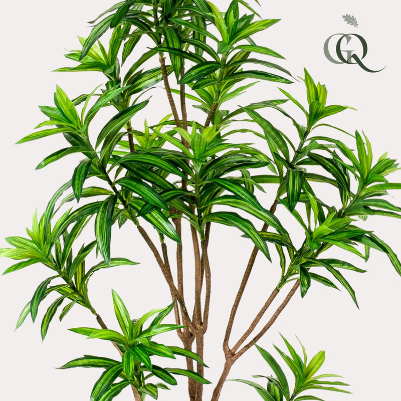 Dracaena kunstplant (Drakenboom)