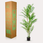 Chamaedorea Elegans Kunstplant (Bergpalm)